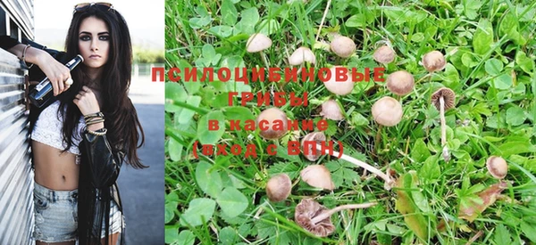 таблы Сосновоборск