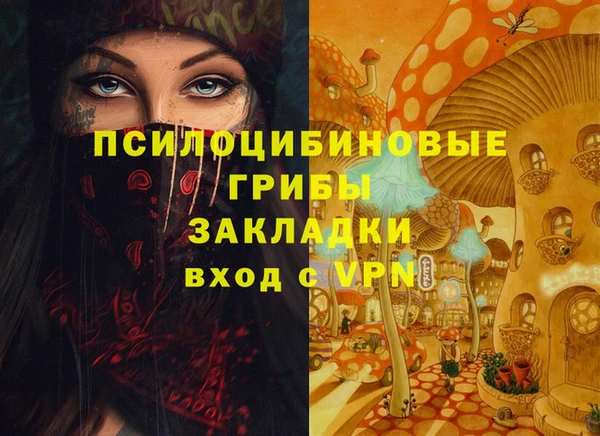 таблы Сосновоборск
